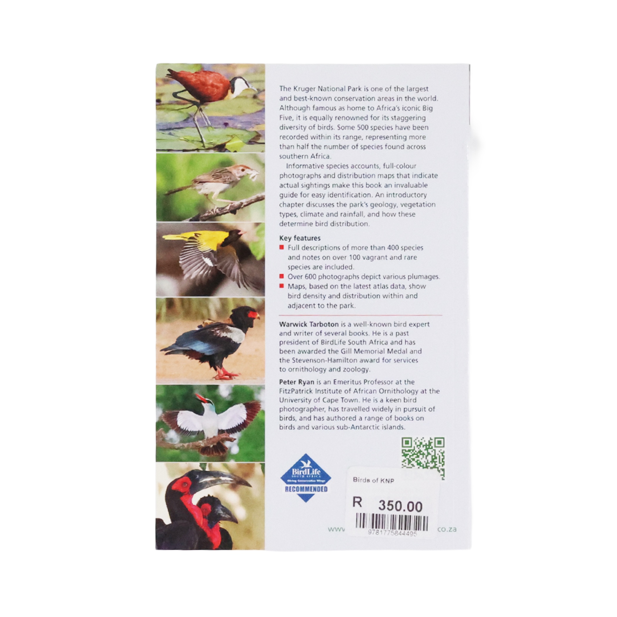 Guide to Birds of the Kruger National Park - Image 2