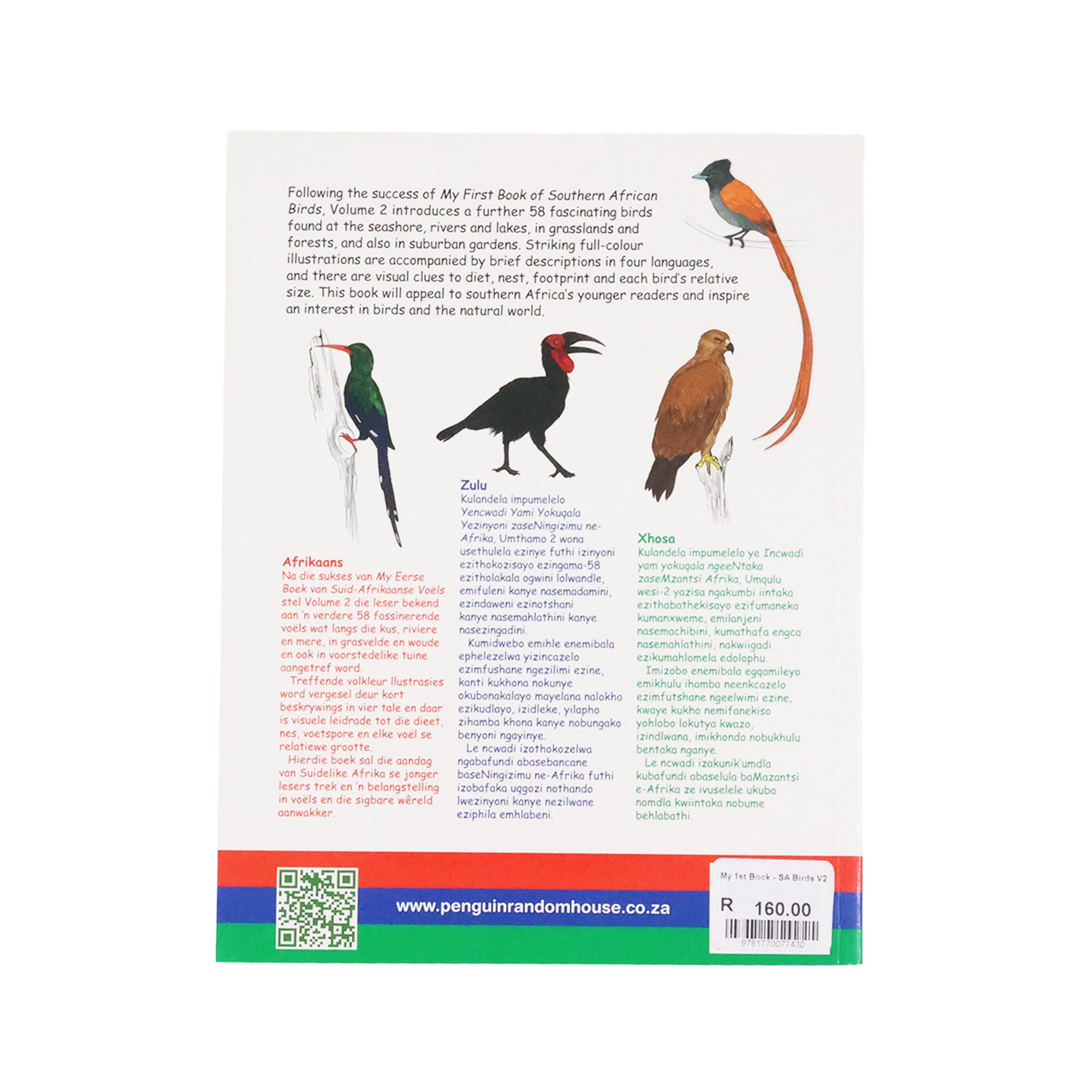 My First Book of Southern African Birds Vol.2 - Image 2